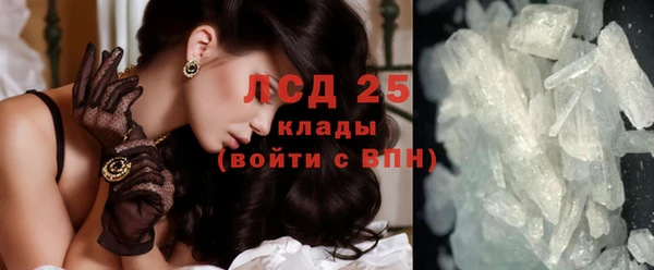 гашик Аркадак