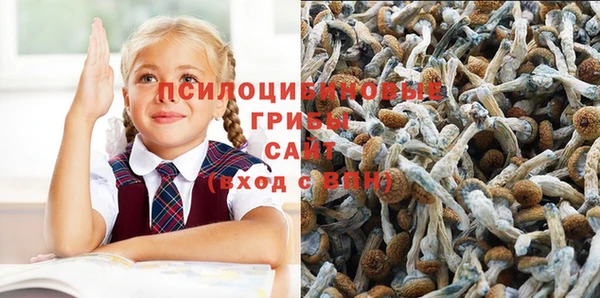 ECSTASY Арсеньев