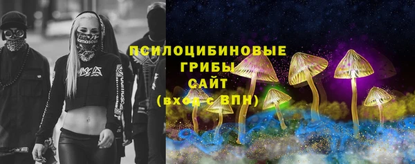 гашик Аркадак