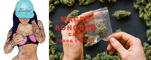 гашик Аркадак