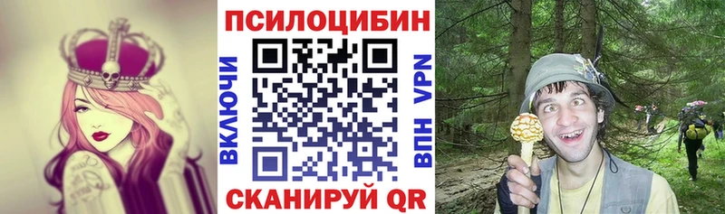 даркнет сайт  Свирск  Галлюциногенные грибы Psilocybine cubensis 